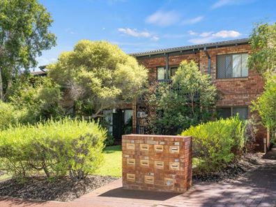 8/13 Storthes Street, Mount Lawley WA 6050