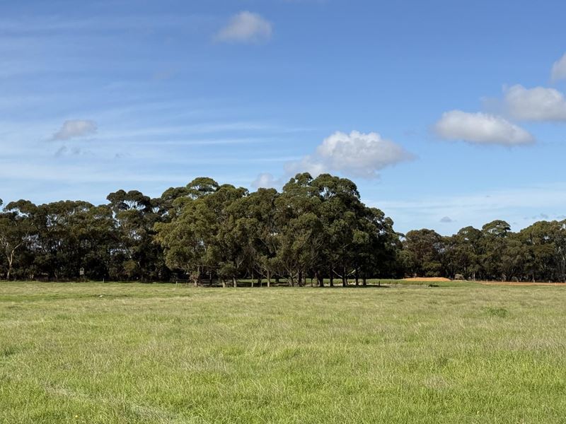 Lot 110, 238 Link Road, Marbelup WA 6330
