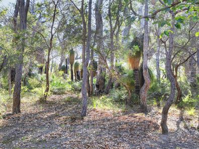 62 Sabina Drive, Molloy Island WA 6290