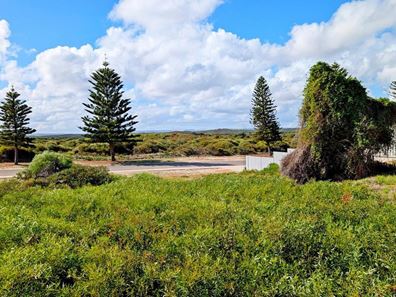 Lot 1088, 6 Seaward Drive, Jurien Bay WA 6516