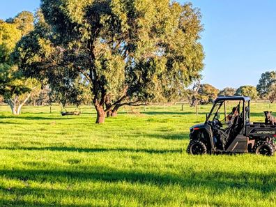 230 Duffy Road, Bambun WA 6503