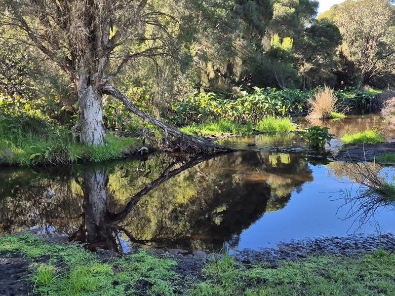 Lot 662,  Lefroy Street, Gingin WA 6503