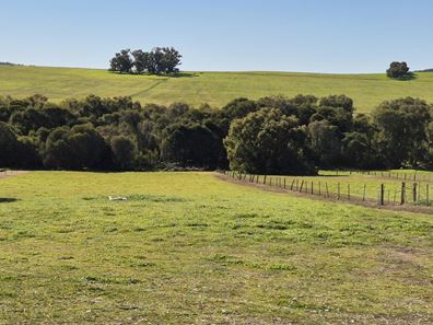 Lot 662,  Lefroy Street, Gingin WA 6503