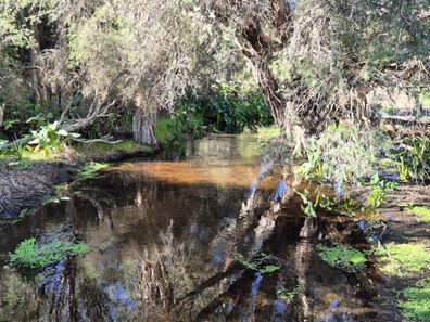 Lot 662,  Lefroy Street, Gingin WA 6503