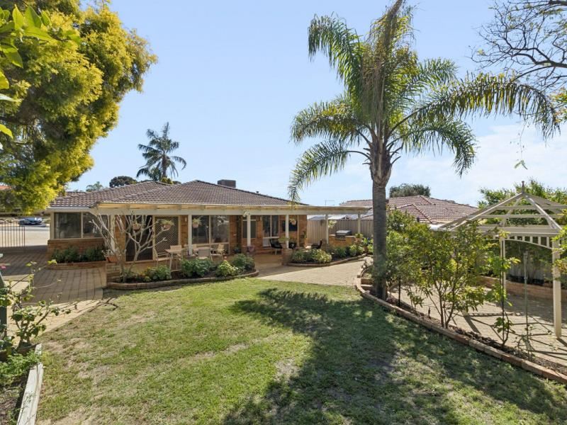 88 Azelia Street, Alexander Heights