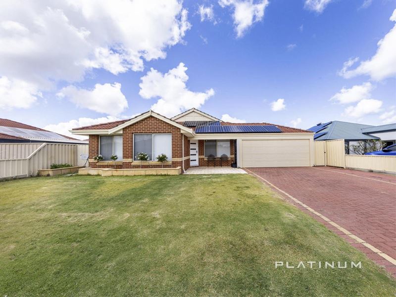 12 Leyland Road, Butler WA 6036