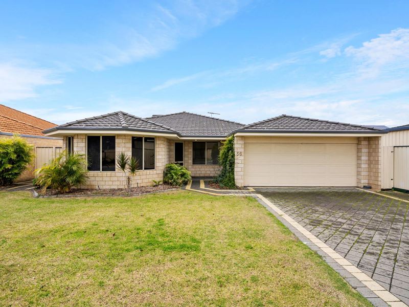 56 Sheffield Road, Wattle Grove