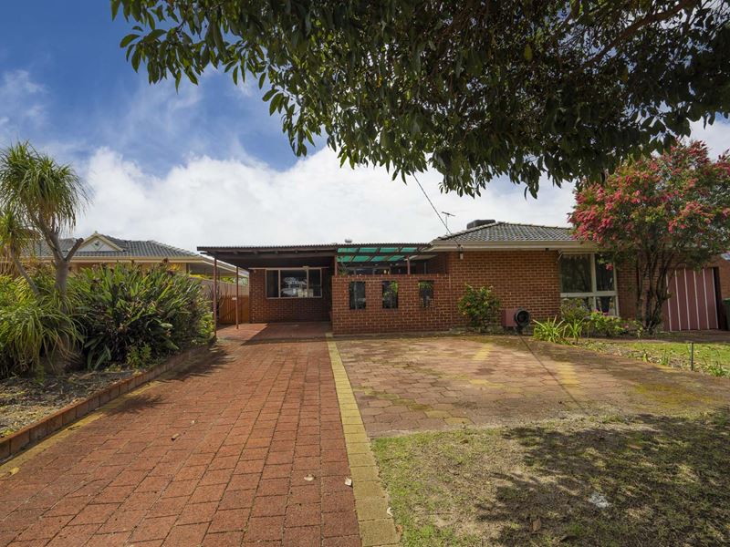 22 McGilvray Avenue, Morley WA 6062