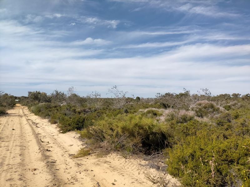 Lot 208,  Olive Grove, Karakin