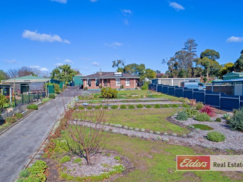 11 Salisbury Road, Mckail