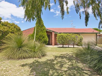 81 Haselmere Circus, Rockingham WA 6168