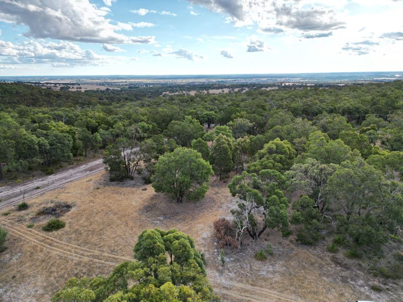 203 Polinelli Road, Lower Chittering