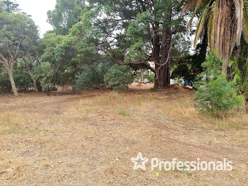 22, 24 & 26 Telluride Street, Greenbushes