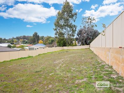 19 Coleman Place, Donnybrook WA 6239