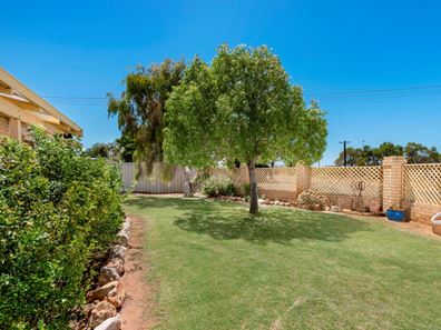 14 Nerrel Street, Waggrakine WA 6530