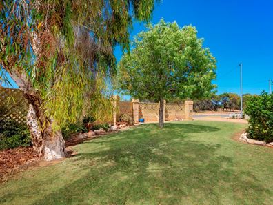 14 Nerrel Street, Waggrakine WA 6530