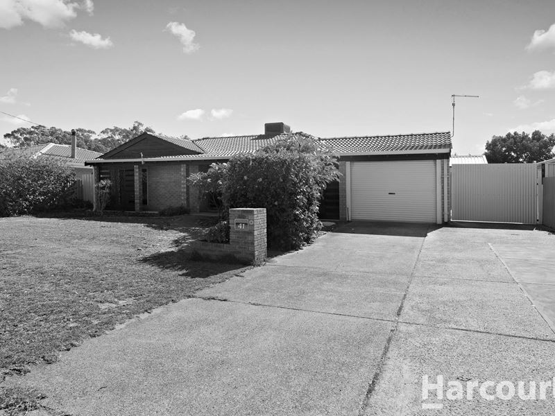 41 Coolibah Avenue, Dudley Park