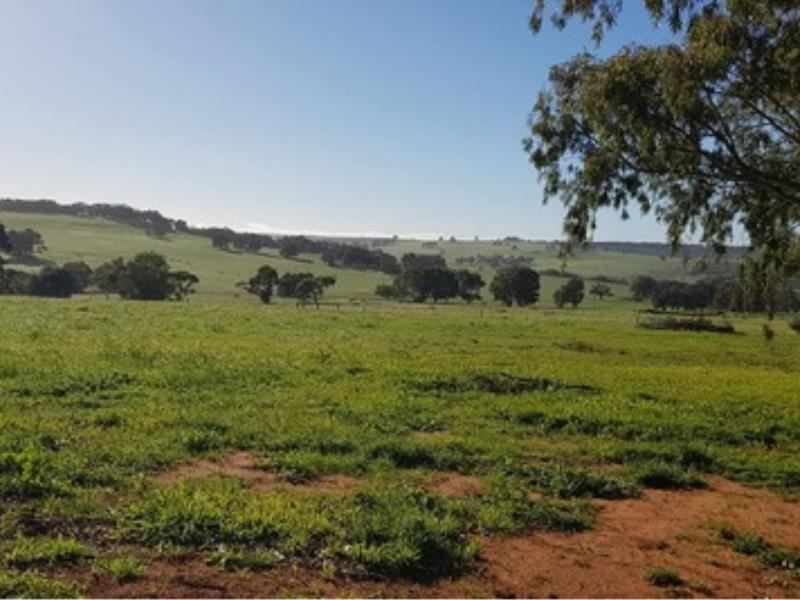 Lot 128,  Aquilo Road, Ginginup