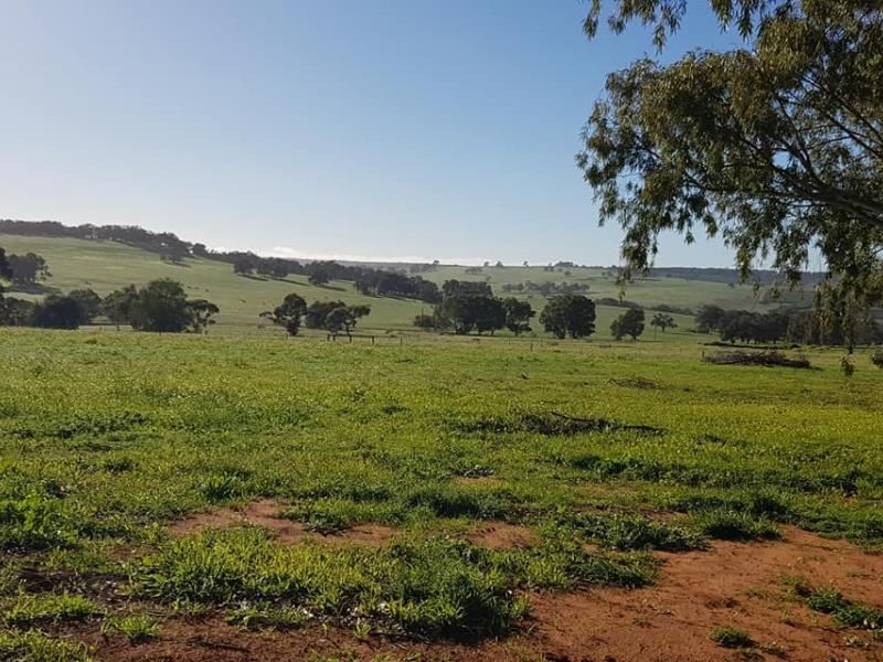 Lot 85,  Carnaby Boulevard Outlook, Ginginup WA 6503