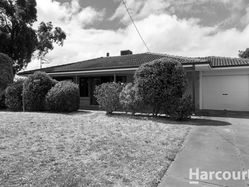 13A Owen Avenue, Falcon