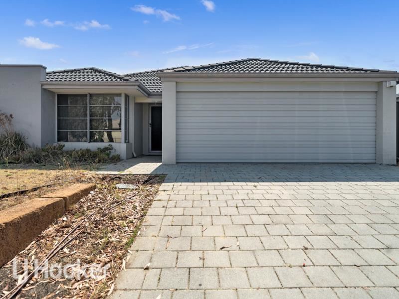 7 Joseph Banks, Banksia Grove