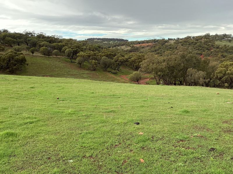 349 Coondle Drive, Coondle, Toodyay