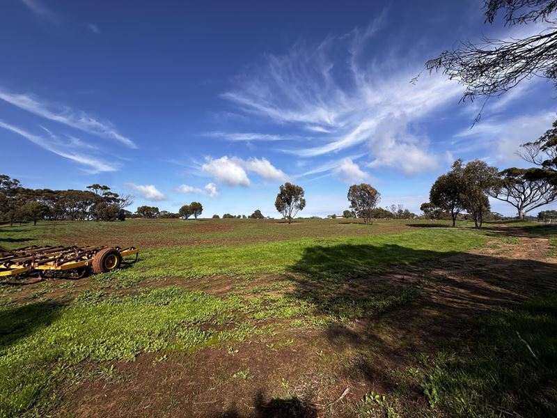 88 Cuballing  Street, Cuballing WA 6311