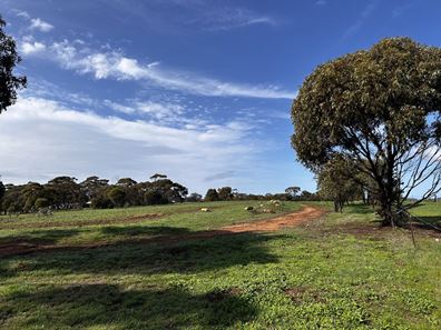 88 Cuballing  Street, Cuballing WA 6311