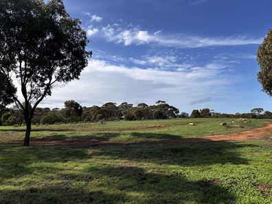 88 Cuballing  Street, Cuballing WA 6311