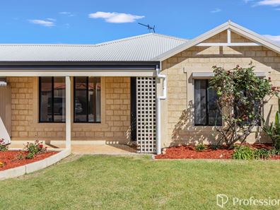 20 Mcwhae Gardens, Bayswater WA 6053