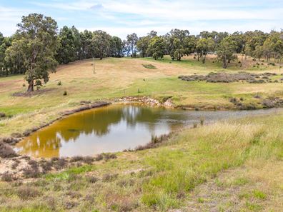 Proposed Lot 1 Mccorkindale Road, Bridgetown WA 6255
