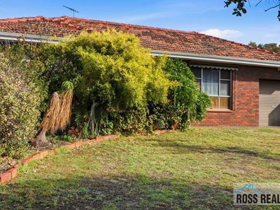 53 Wicks Street, Morley WA 6062
