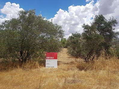 70 Ranfurly Street, Moora WA 6510