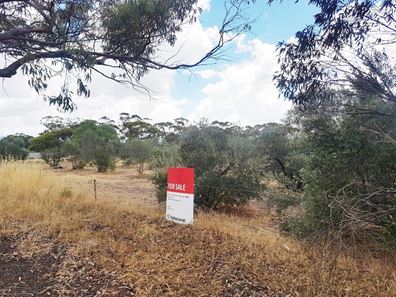 70 Ranfurly Street, Moora WA 6510