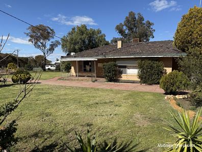 51 Leahy Street, Dalwallinu WA 6609
