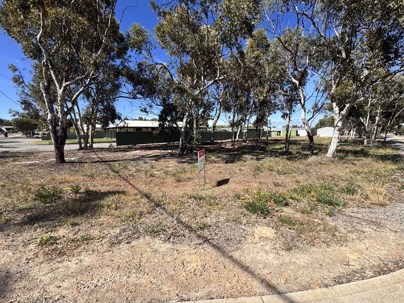 19 Lambert Crescent, Calingiri