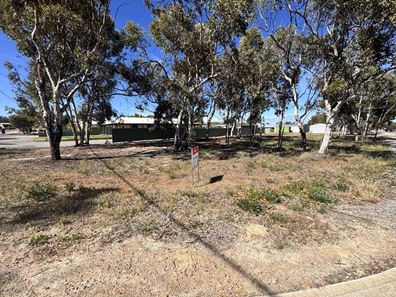 19 Lambert Crescent, Calingiri WA 6569