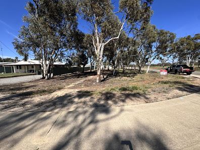 19 Lambert Crescent, Calingiri WA 6569