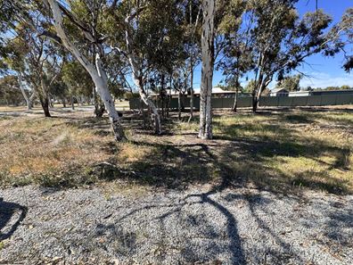 19 Lambert Crescent, Calingiri WA 6569