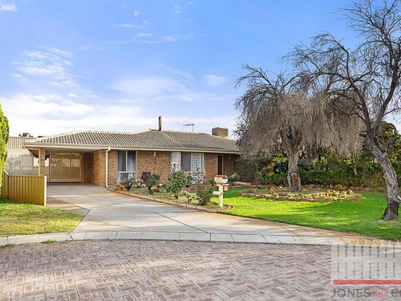 11 Pitt Court, Morley WA 6062