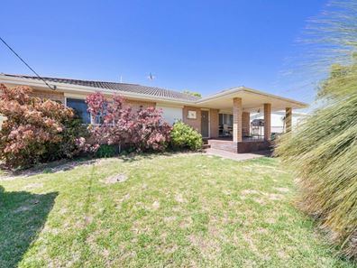 68 Yeedong Road, Falcon WA 6210