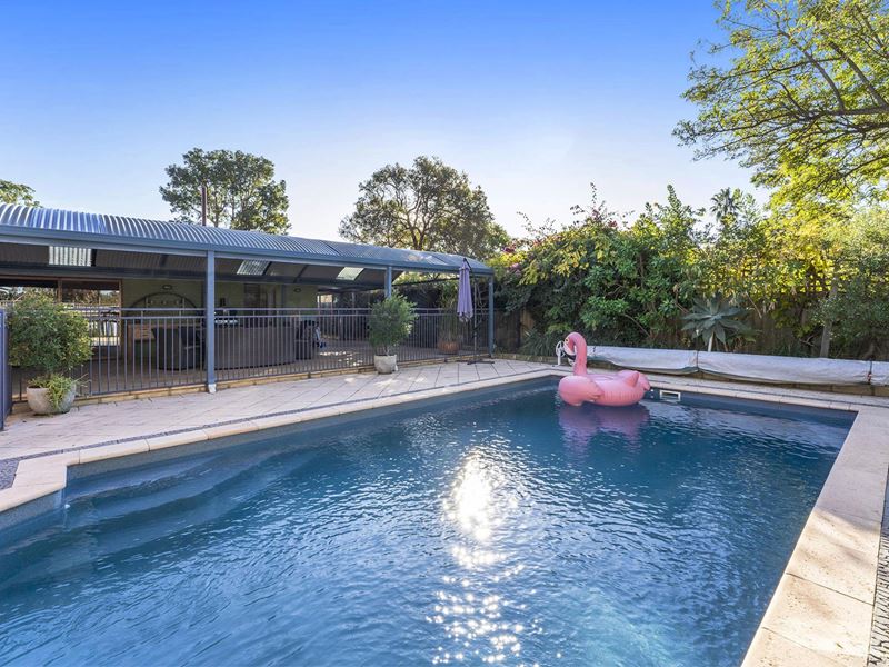 8 Teal Mews, Willetton
