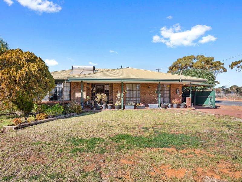 19 Robertson Street, West Lamington