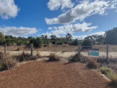 Lot 135,  Seaflower  Way, Gabbadah WA 6041