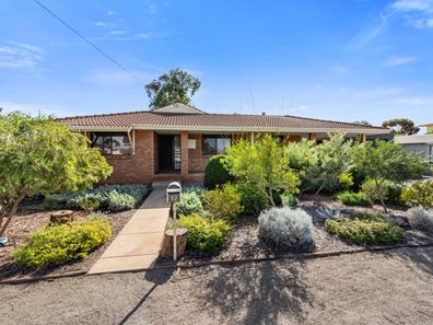 12 Kirwan Court, Hannans WA 6430