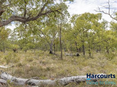 11 Malbec Close, Lower Chittering WA 6084