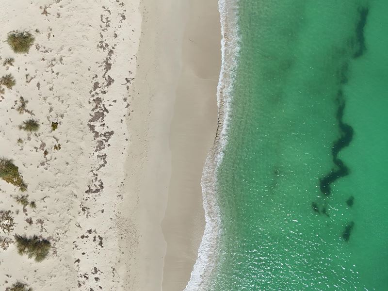 Lot 1103 Clifton Ave, Jurien Bay WA 6516