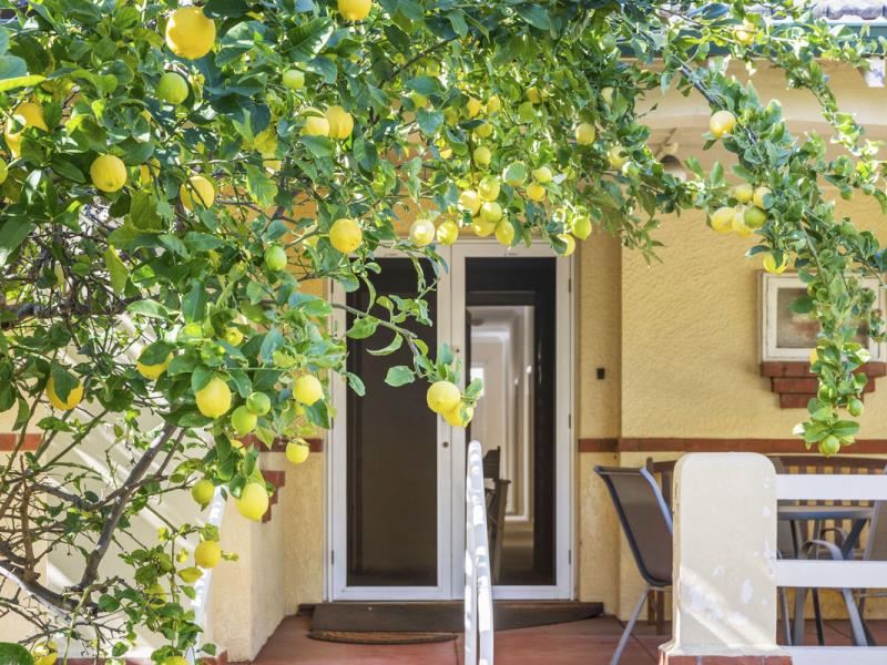 94 Dalkeith Road, Nedlands