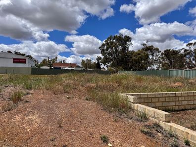16 Railway Street, Calingiri WA 6569