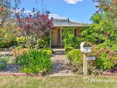 1 Dagenham Crescent, Midvale WA 6056